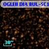 OGLEII DIA BUL-SC14   1321