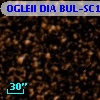 OGLEII DIA BUL-SC14   1432