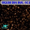 OGLEII DIA BUL-SC14   1450