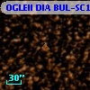 OGLEII DIA BUL-SC14   1622