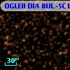 OGLEII DIA BUL-SC14   2003