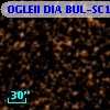 OGLEII DIA BUL-SC14   2101