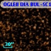 OGLEII DIA BUL-SC14   2185