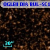OGLEII DIA BUL-SC14   2597