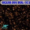 OGLEII DIA BUL-SC14   2929