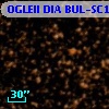 OGLEII DIA BUL-SC14   2956