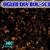 OGLEII DIA BUL-SC14   3015