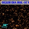 OGLEII DIA BUL-SC14   3033