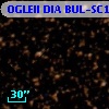 OGLEII DIA BUL-SC14   3911