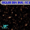 OGLEII DIA BUL-SC15    215