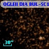 OGLEII DIA BUL-SC15    698