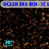 OGLEII DIA BUL-SC15    852