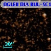 OGLEII DIA BUL-SC15    987