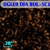 OGLEII DIA BUL-SC15   1025