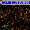 OGLEII DIA BUL-SC15   1026