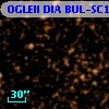 OGLEII DIA BUL-SC15   1135