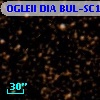 OGLEII DIA BUL-SC15   2110