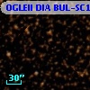 OGLEII DIA BUL-SC15   2382