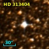 HD 313404