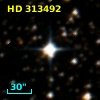 HD 313492
