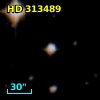 HD 313489