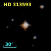 HD 313593