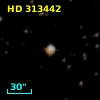 HD 313442