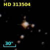 HD 313504