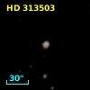 HD 313503