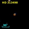 HD 313498