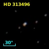HD 313496