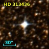 HD 313436