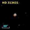 HD 313431