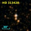 HD 313428