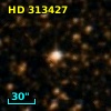 HD 313427