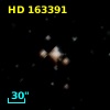 HD 163391