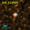 HD 313405