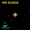 HD 313520