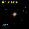 HD 313615