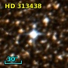 HD 313438
