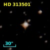 HD 313501