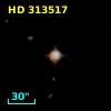 HD 313517
