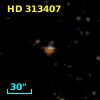 HD 313407