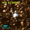HD 313408