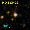 HD 313429