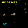 HD 313437