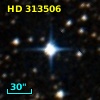 HD 313506