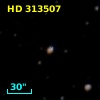 HD 313507
