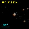 HD 313514