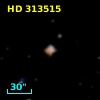 HD 313515